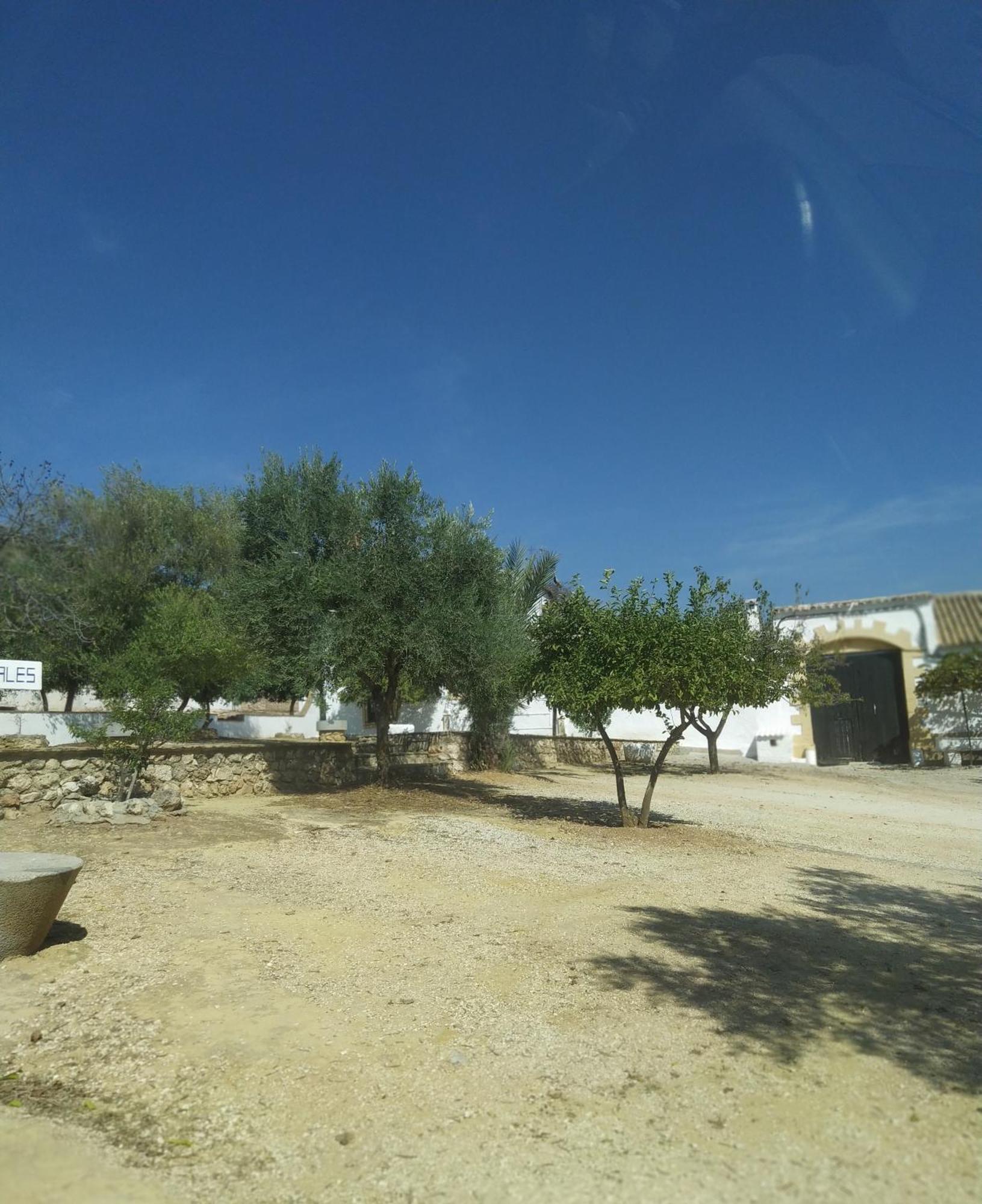 Casas Rurales Cortijo La Canada Estepa Szoba fotó