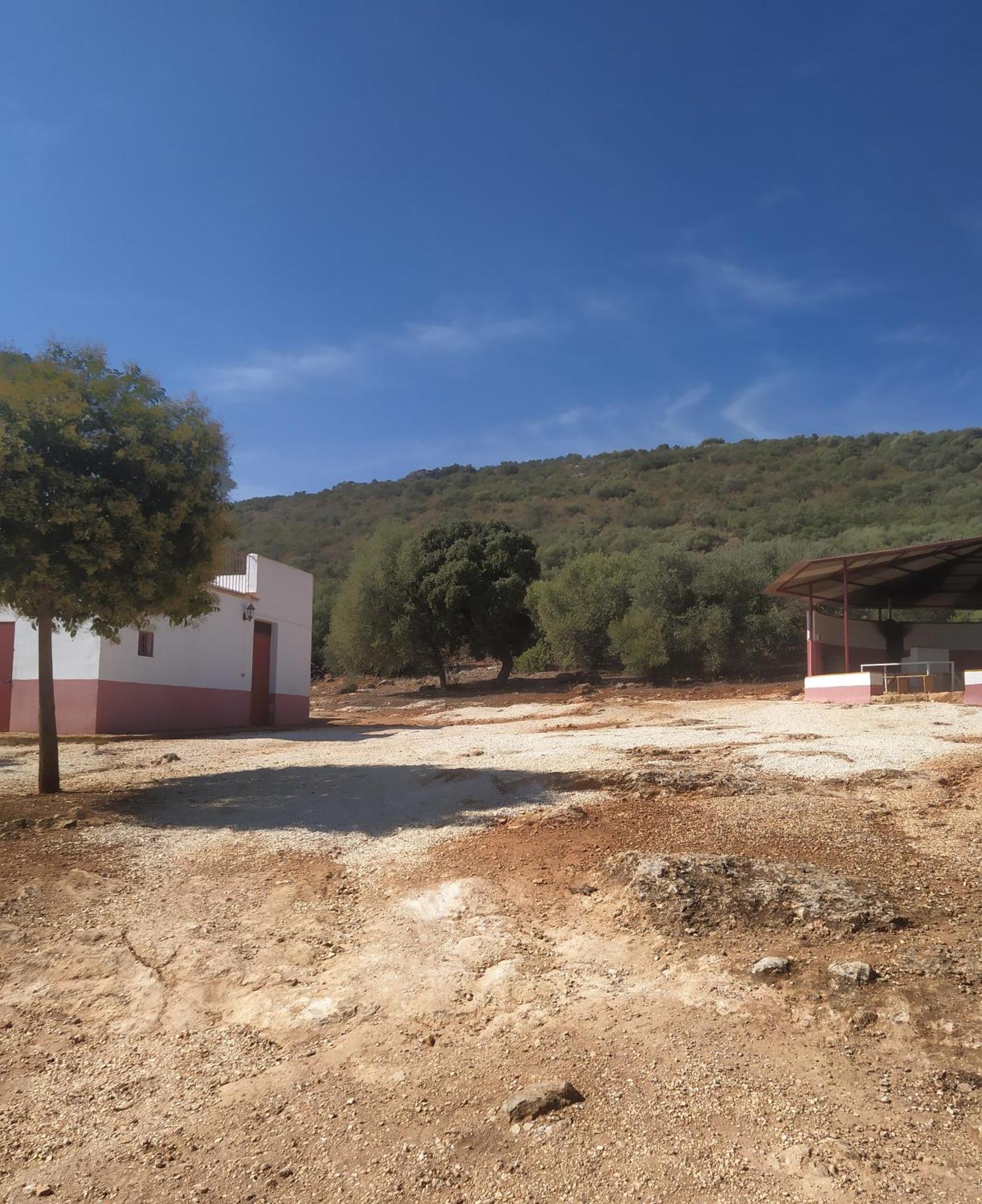 Casas Rurales Cortijo La Canada Estepa Szoba fotó