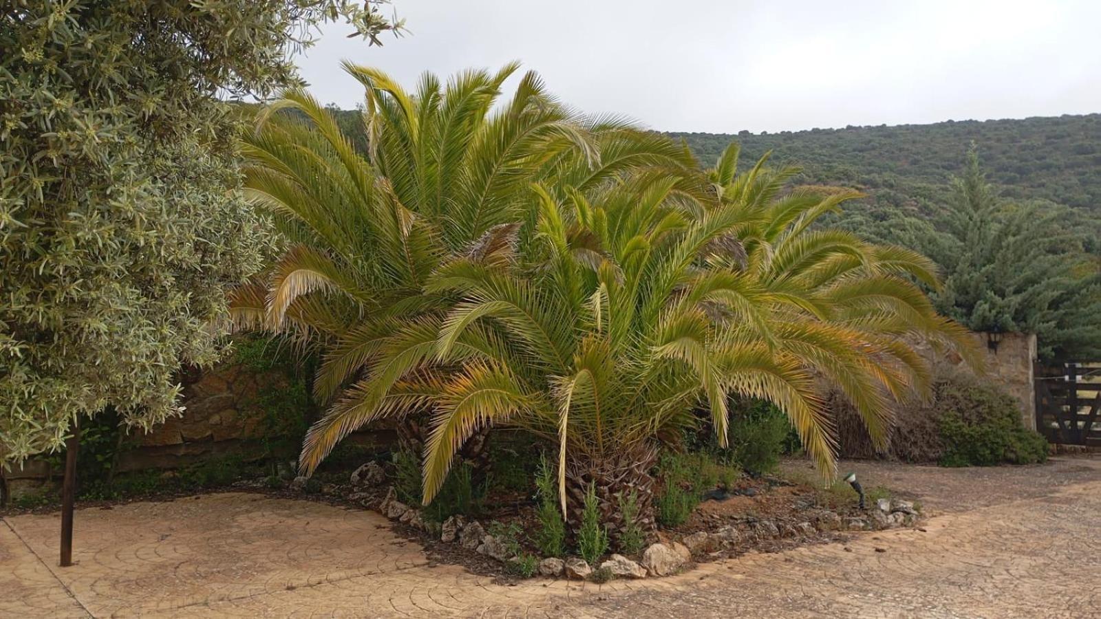Casas Rurales Cortijo La Canada Estepa Kültér fotó