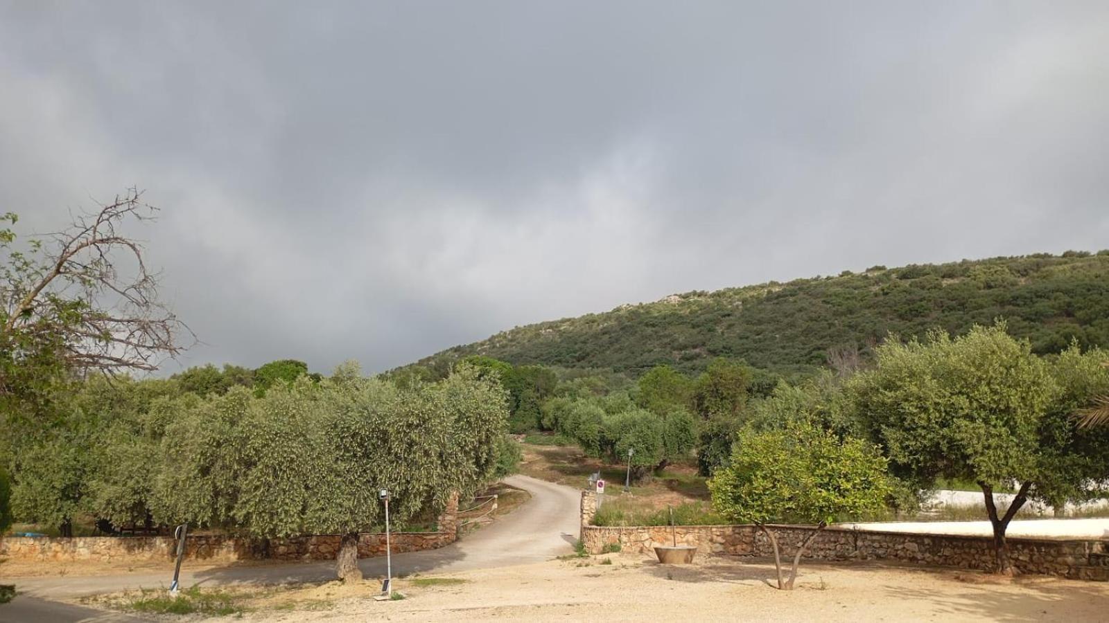 Casas Rurales Cortijo La Canada Estepa Kültér fotó