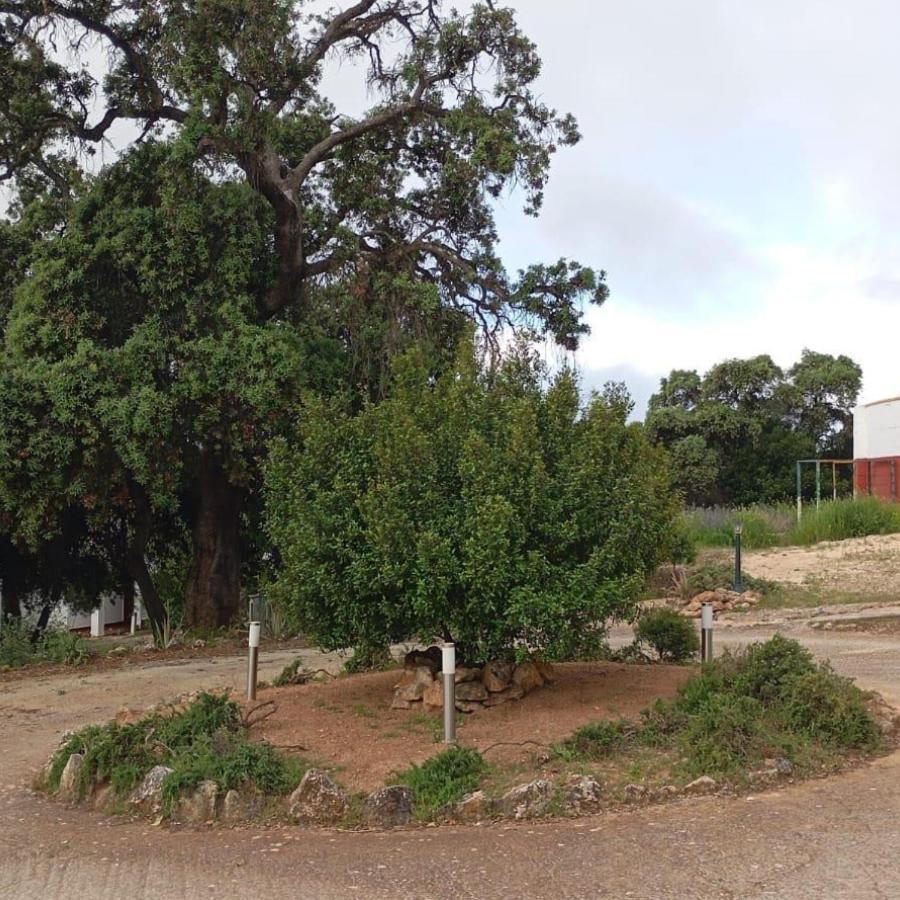 Casas Rurales Cortijo La Canada Estepa Kültér fotó